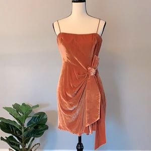 cinq à sept (5à7) Rosewood Velvet Dress